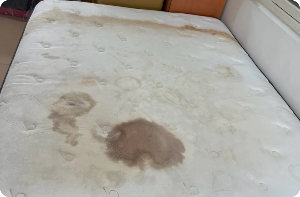 精準去除局部黃斑,同時保護床墊表層織紋與彈性,洗後清晰無異味。