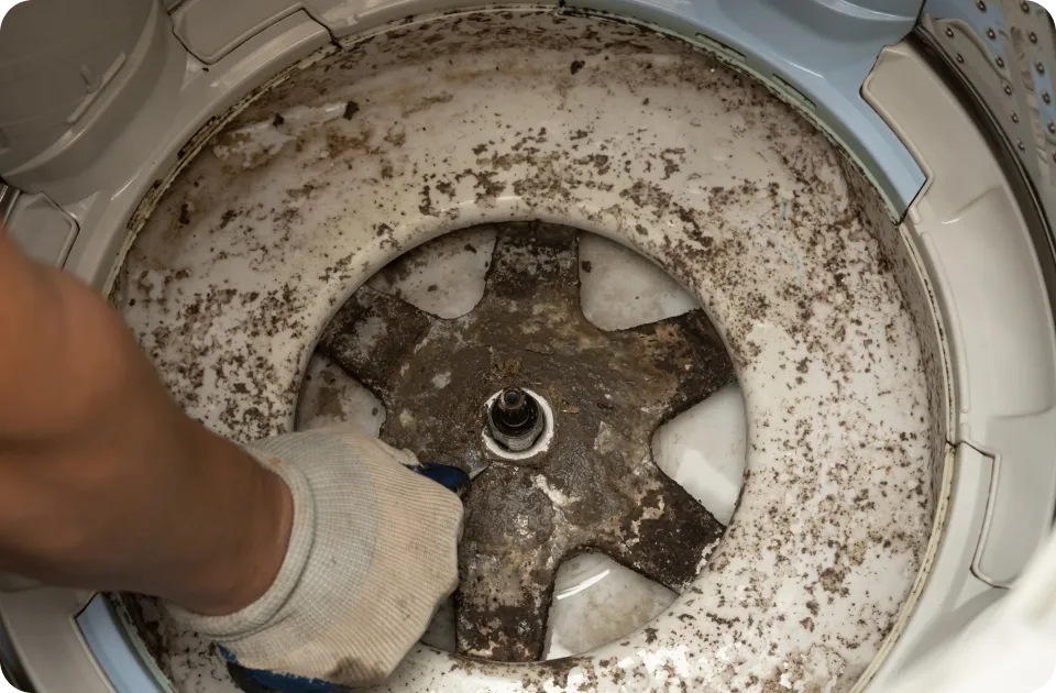 為什麼洗衣機要深層清潔