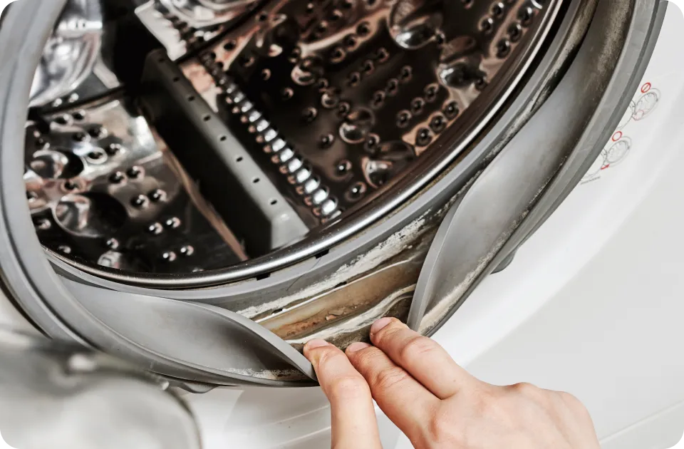 為什麼洗衣機要深層清潔